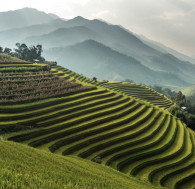 Cari Tanah Murah di Bali? Ini Daerah dengan Harga Tanah Tidak Sampai 1 Miliar di Bali